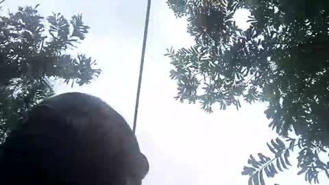 miky17cm online show from 01.12.26