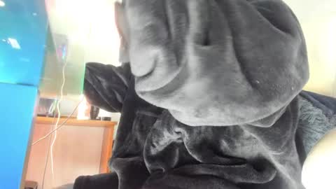 Snapshot of mila_dash chatting on 09.24.25 Mila Dash online show from 09.24.25