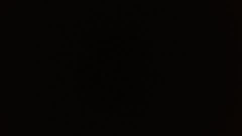 Rosalie  online show from 09.09.25