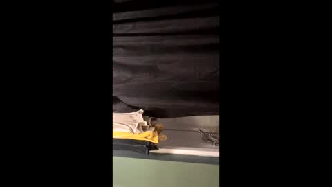 Snapshot of milfyymassa chatting on 10.18.25 milfyymassa online show from 10.18.25