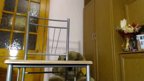 Im  to see you here Pvts are open  I love patterns soo much online show from 12.04.24