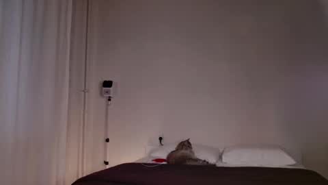 milky__way_ online show from 10.05.25