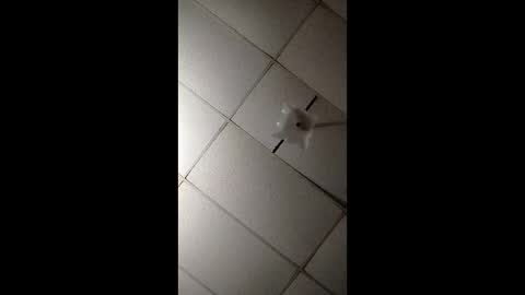 miloanj online show from 11.07.25