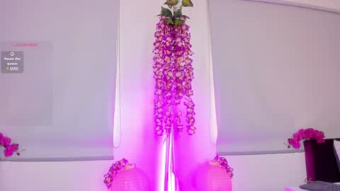  Milu Belucci  online show from 01.30.25