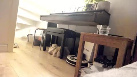 Snapshot of milu_curly chatting on 03.05.25 Milu online show from 03.05.25