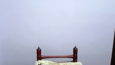 Snapshot of minato_kabuki chatting on 12.19.24 MINATO online show from 12.19.24