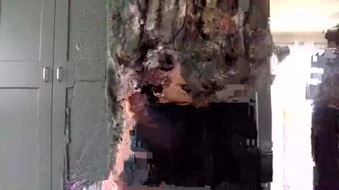 mince_alors online show from 11.24.25