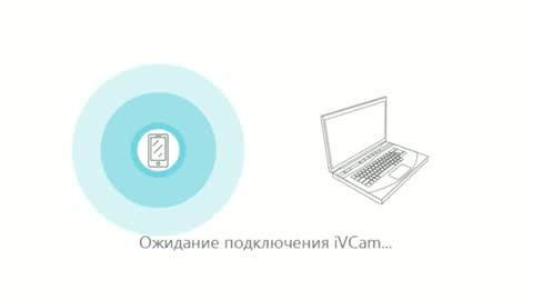 alek online show from 12.11.24