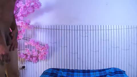 Mirandatroy online show from 12.02.25