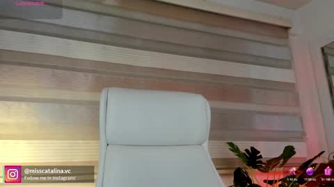 Catalina online show from 03.25.26