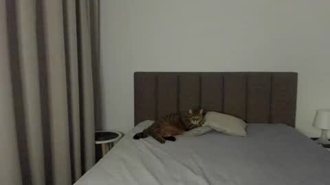 Emily online show from 02.09.25