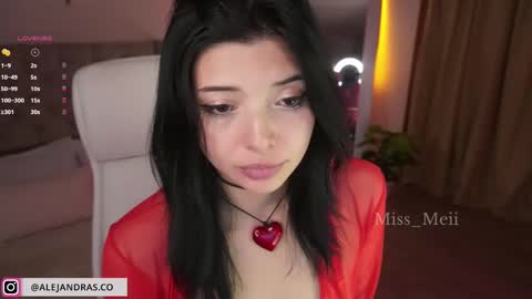 Snapshot of miss_meii chatting on 02.13.25 Alejandra online show from 02.13.25
