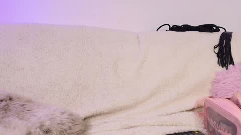 miss_sophia21 online show from 02.18.26