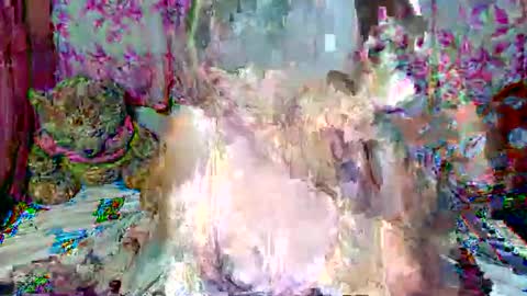 miss v0lcan0 online show from 03.15.26