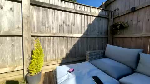  Miss Alex  online show from 03.21.26