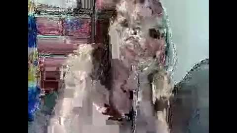 Chantal24 online show from 11.27.25