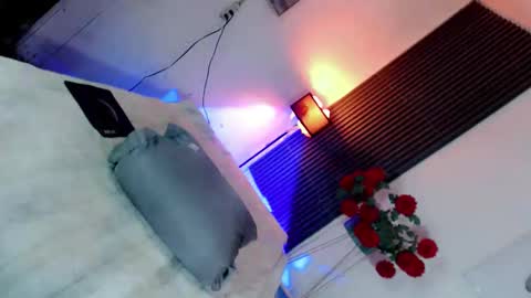 Snapshot of missconceptwow69 chatting on 01.19.26 Nicole online show from 01.19.26