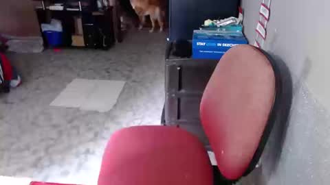 Maria Gomezz online show from 03.19.26