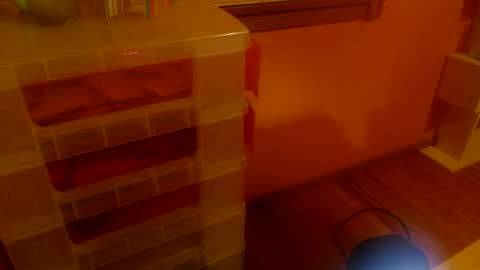 Snapshot of misskittyfox chatting on 06.25.26 MissKittyFox online show from 06.25.26