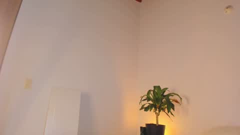 misspaulag online show from 01.31.25