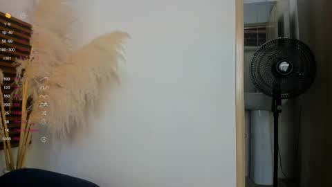 missvalery1 online show from 01.14.25