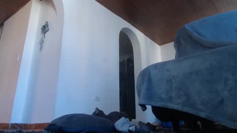 mistersam33 online show from 02.10.25