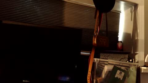 Snapshot of mistressdannydarko chatting on 06.21.26 mistressdannydarko online show from 06.21.26