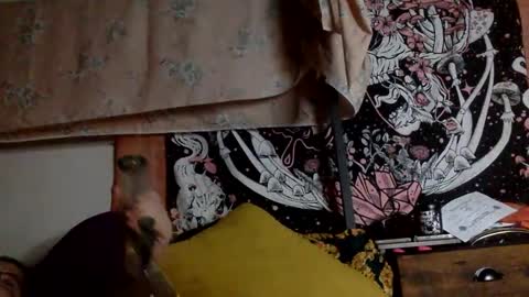 Mistress Mystii online show from 01.12.25