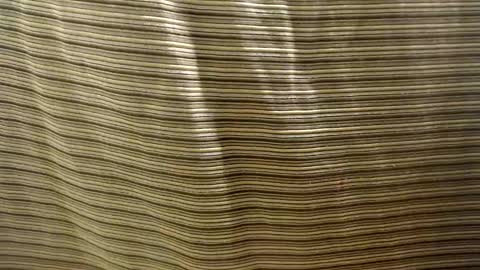 Snapshot of mistynox chatting on 01.23.25 Mistress MISTY online show from 01.23.25