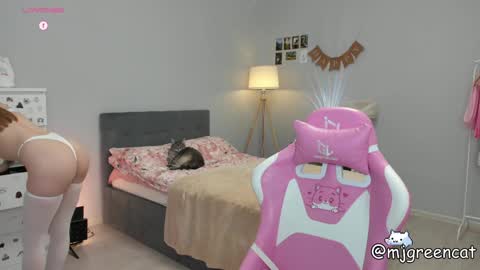 Snapshot of mjgreencat chatting on 01.27.25 mj online show from 01.27.25