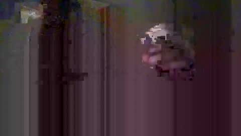 mmiltos online show from 02.09.26