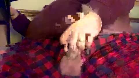 mnguy19726969 online show from 12.18.24