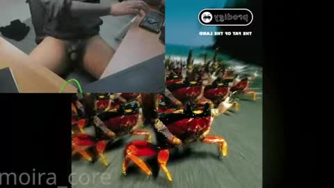moira_core online show from 07.24.26