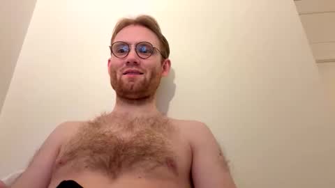 molliter online show from 03.01.26