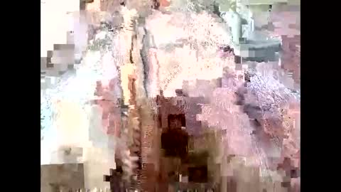 Snapshot of mommyissues2386 chatting on 09.28.25 Richard Sheridan online show from 09.28.25