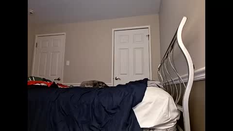 Snapshot of moneyboysaveg584 chatting on 04.12.26 moneyboysaveg584 online show from 04.12.26