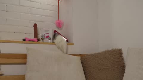 Snapshot of monicaasis chatting on 02.17.25 monicaasis online show from 02.17.25