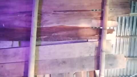 moon_roxee online show from 01.04.25