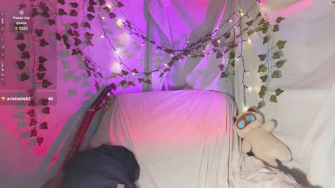 Dana online show from 12.11.24