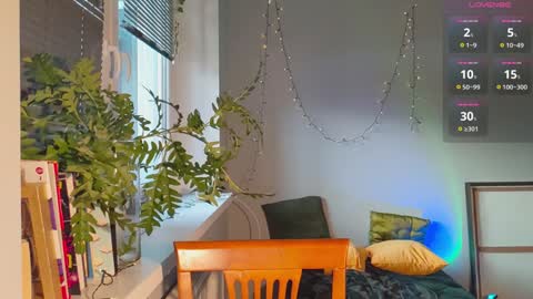 Dana online show from 01.05.25