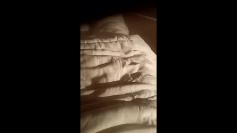 moos1 online show from 10.15.25