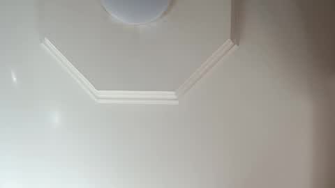 moos1 online show from 02.08.26