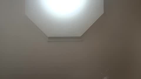 moos1 online show from 02.18.26