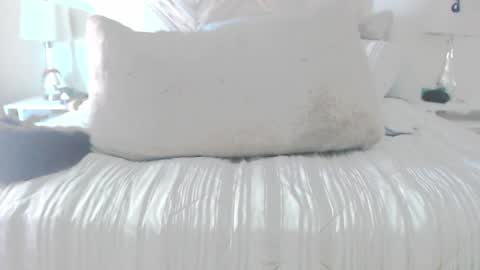 Didier online show from 03.02.26