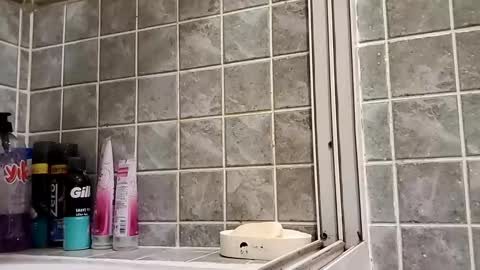 Snapshot of moss127 chatting on 12.15.24 twennysevv27 online show from 12.15.24