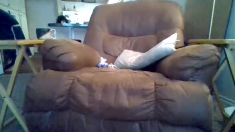 Snapshot of motodub chatting on 03.01.25 motodub online show from 03.01.25