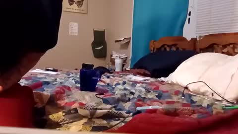 B online show from 02.04.25