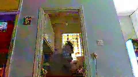 mppempis81 online show from 12.14.25