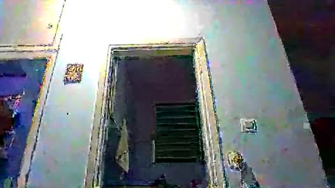 mppempis81 online show from 01.11.26