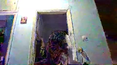 mppempis81 online show from 02.04.26